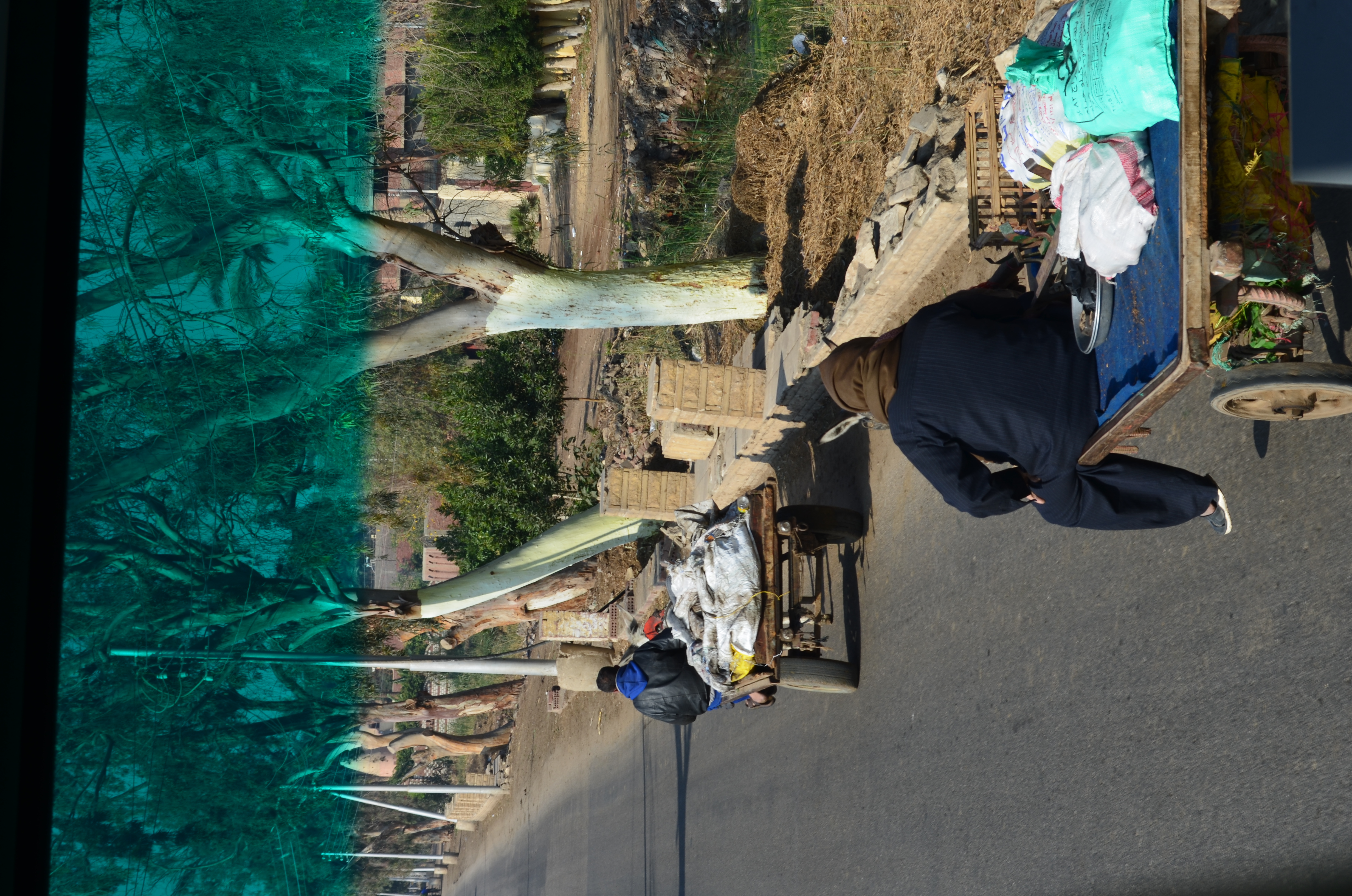 ./2018/16 - Egypt/03 - Pyramids/DSC_0067.JPG